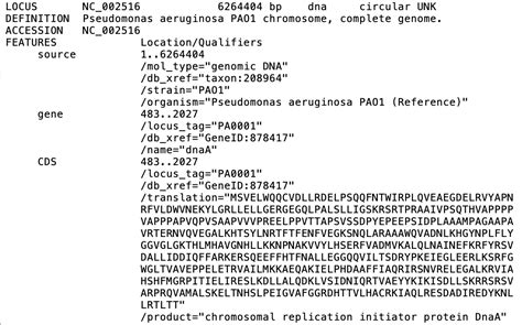 Cannot access /*.gbk files after running prokka for custom .